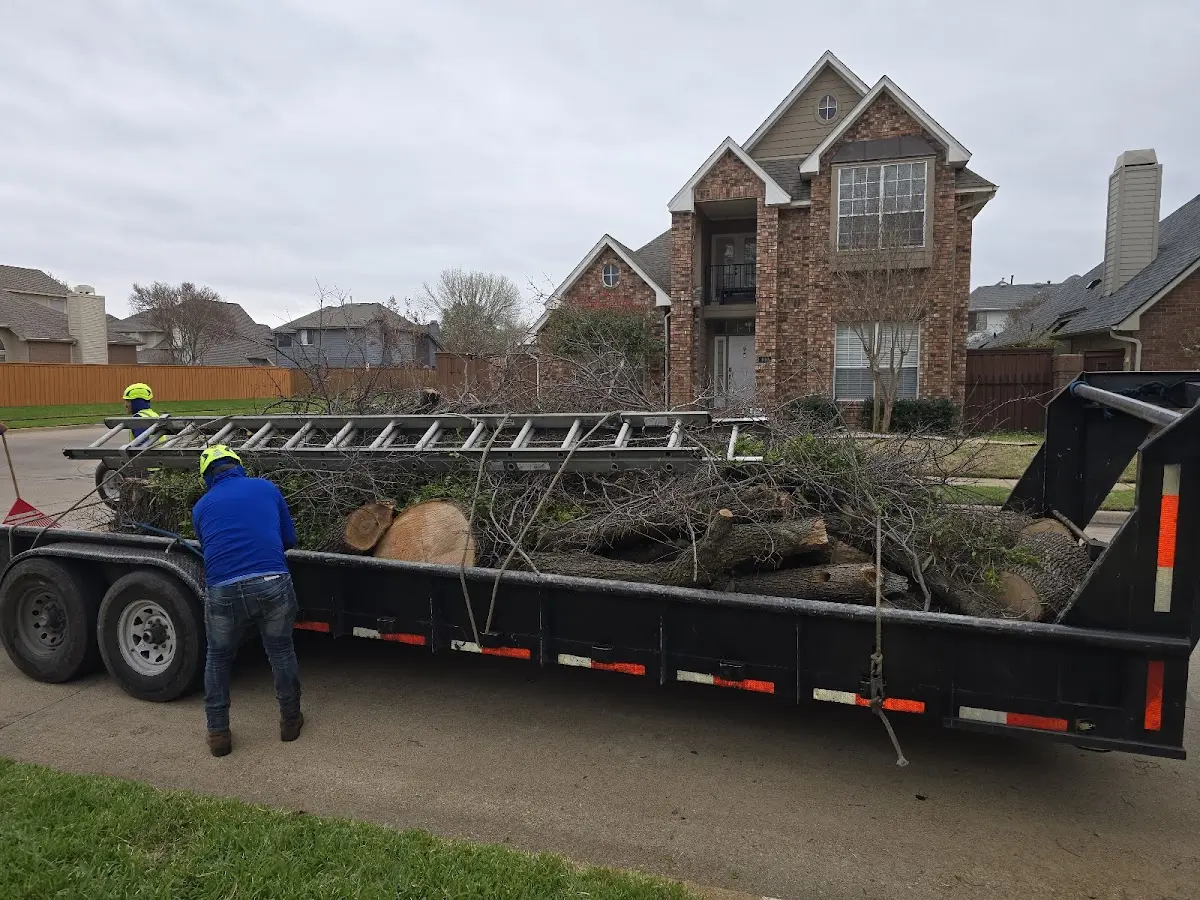 Expert Lot Clearing with proper safety equipment in Drayden